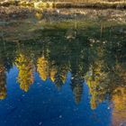 Herbst-Spiegelung