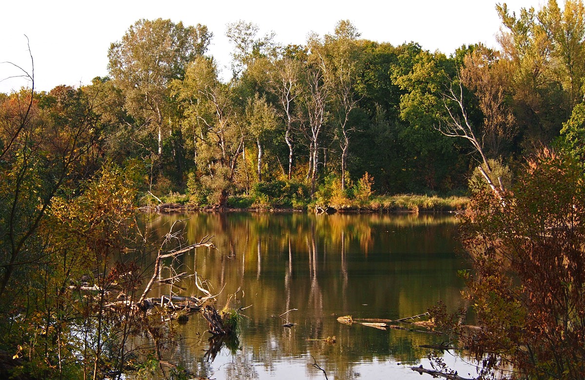 Herbst Spiegelung