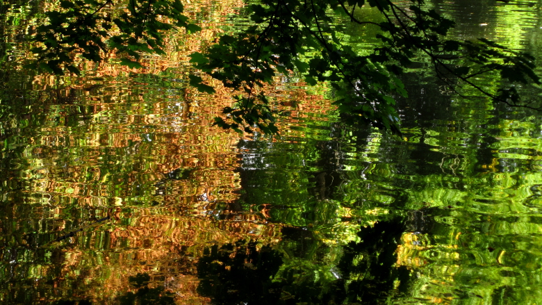 Herbst-Spiegelung