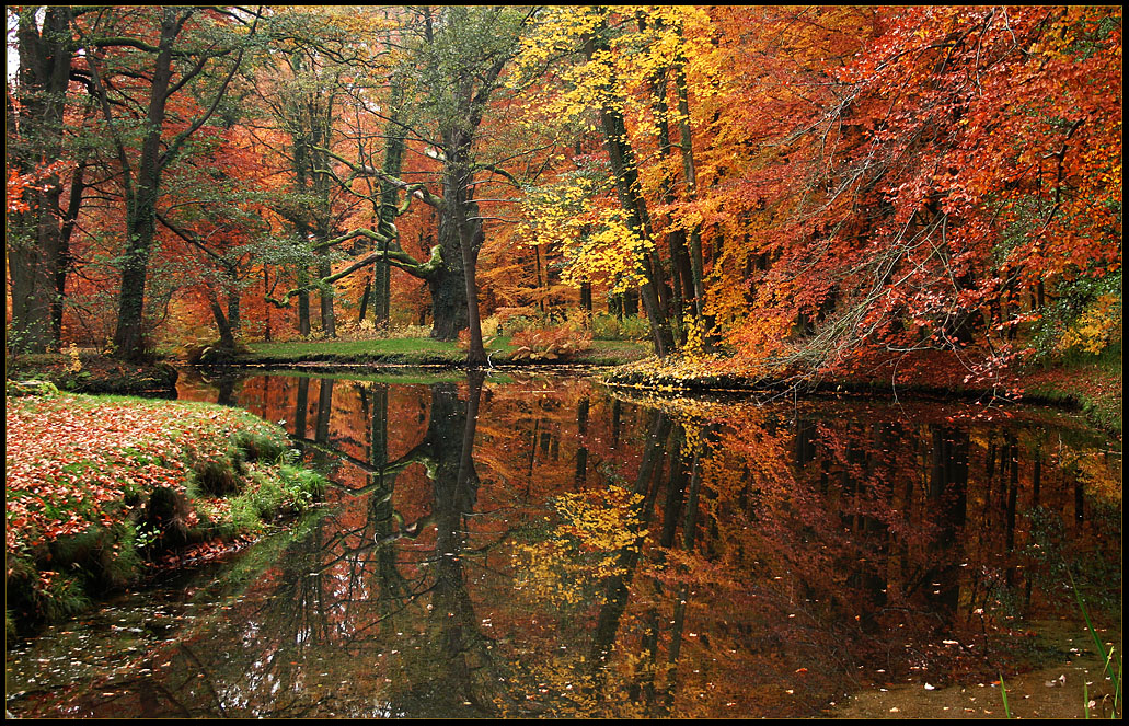 Herbst - Spiegelung...