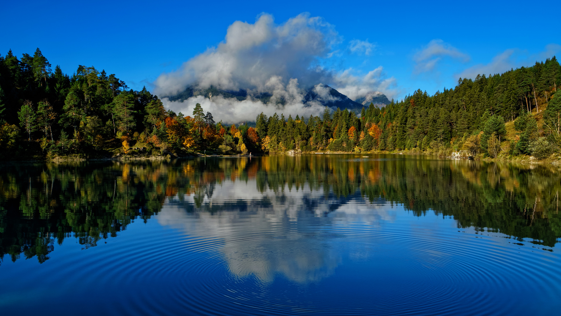 Herbst Spiegelung