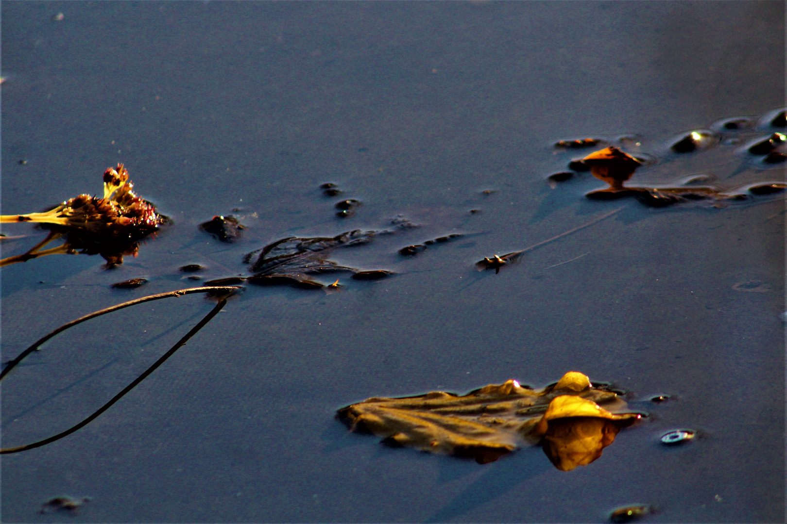 Herbst Spuren