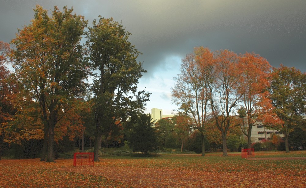 Herbst, Stadtpark, Nürnberg