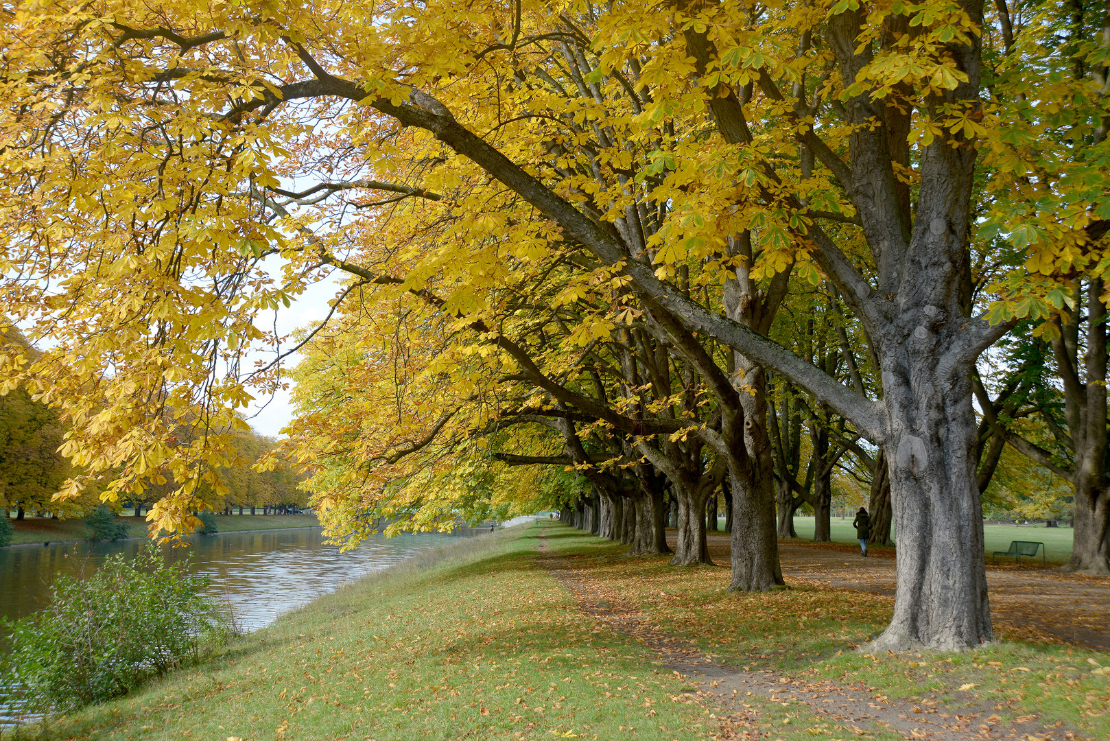 Herbst Stadtwald  Köln