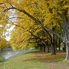 Herbst Stadtwald  Köln