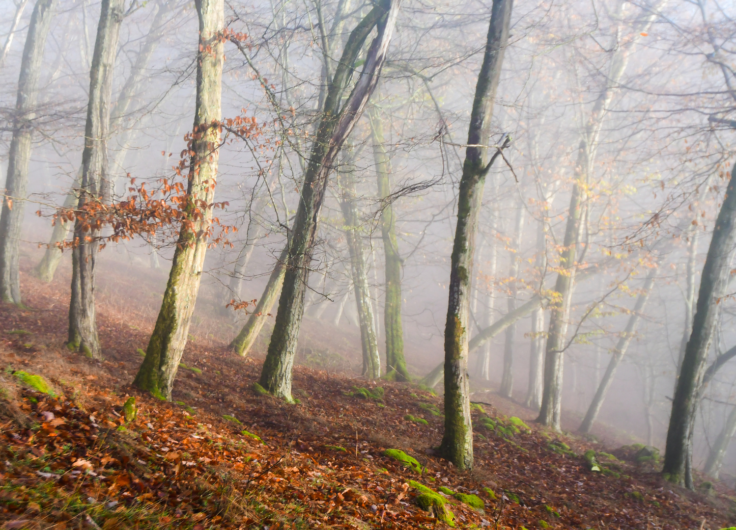 Herbst steht vor der Tur. 