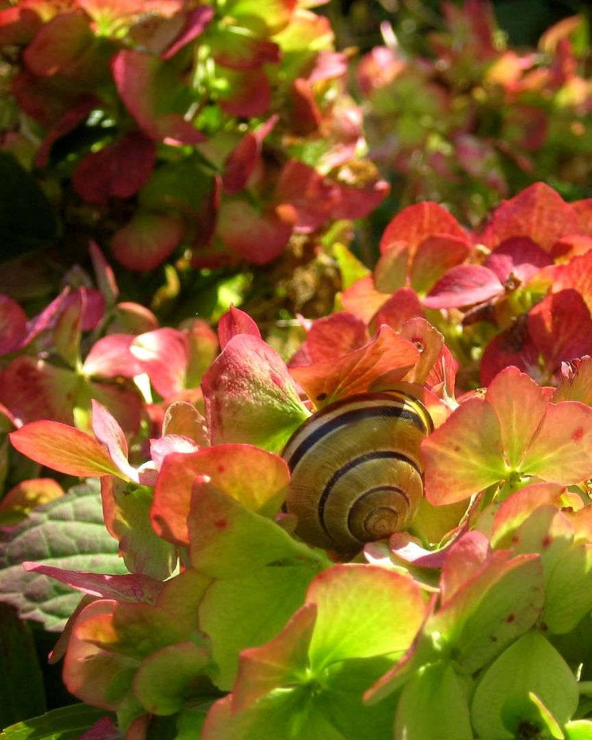 Herbst-Still-Leben