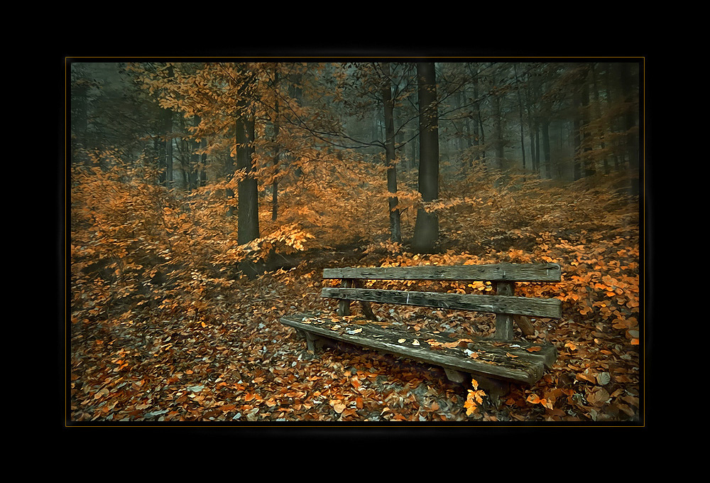 Herbst-Stille