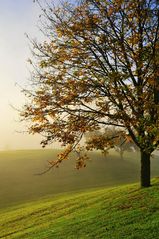 herbst stille