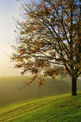 herbst stille