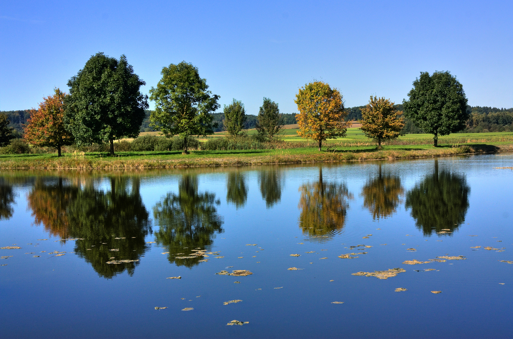 Herbst-Stimmung...