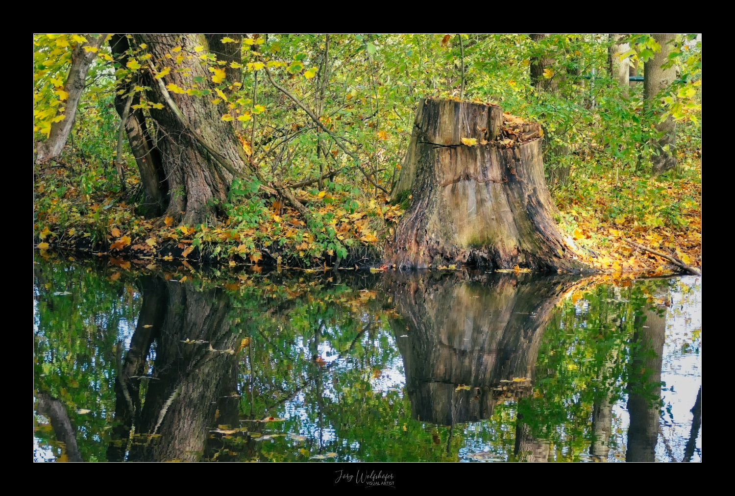 Herbst-Stimmung