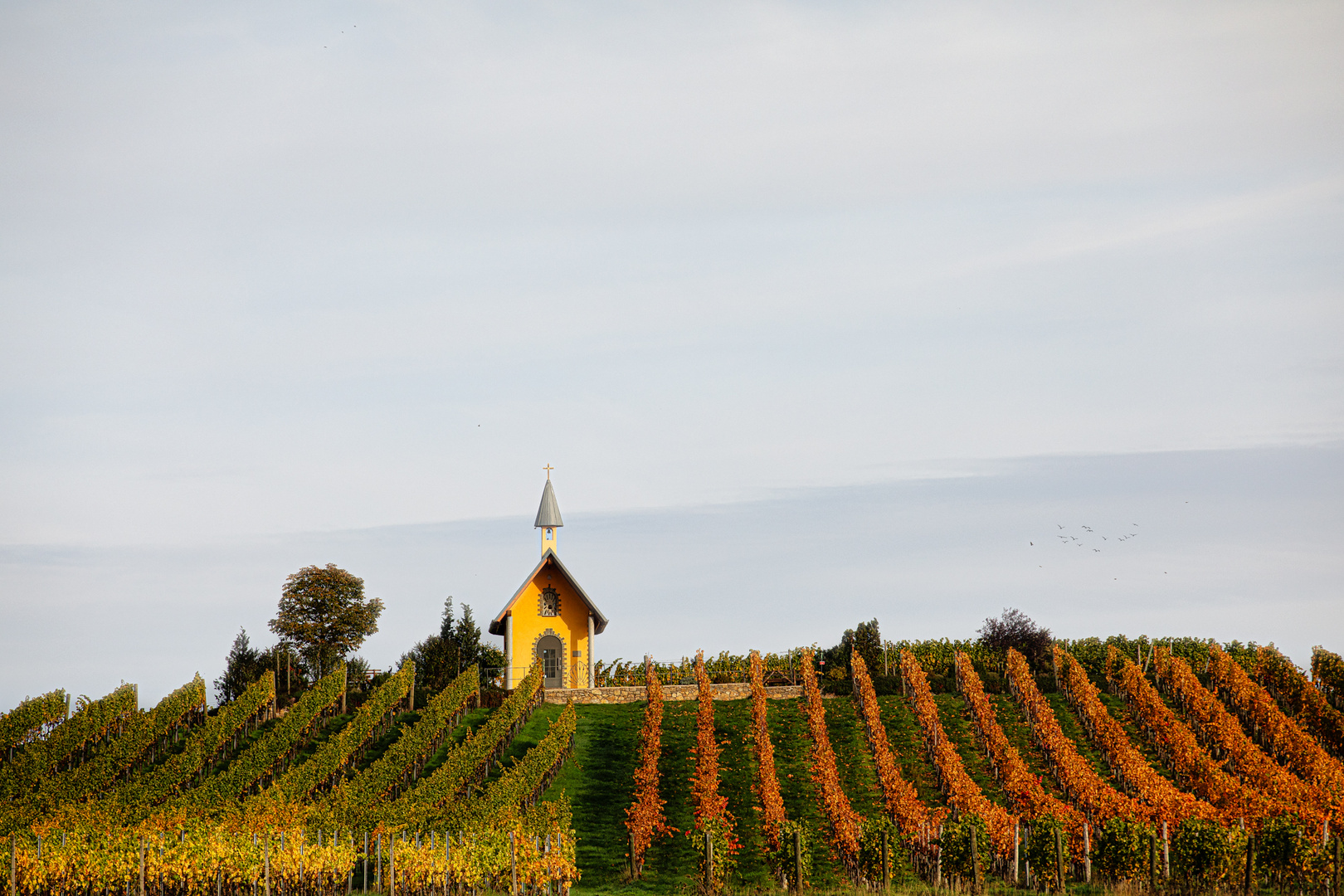 Herbst Stimmung