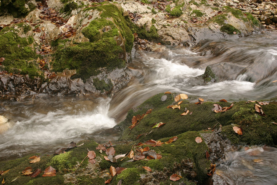 Herbst-Stimmung