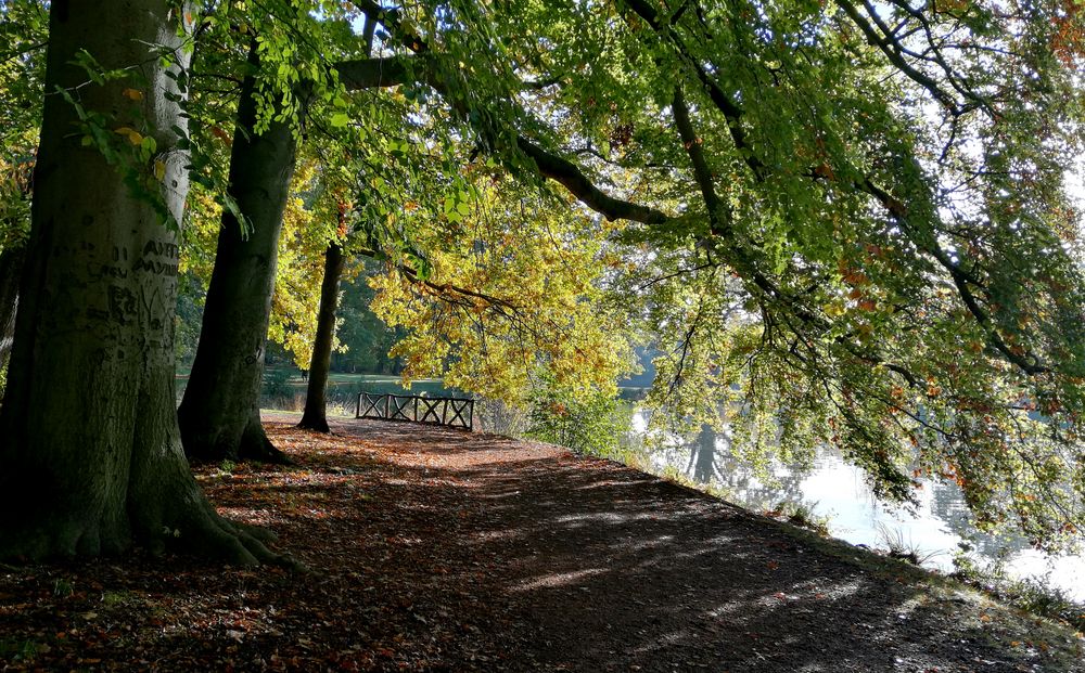 Herbst-Stimmung am Gothaer Parkteich