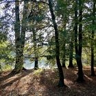 Herbst-Stimmung am Gothaer Parkteich II