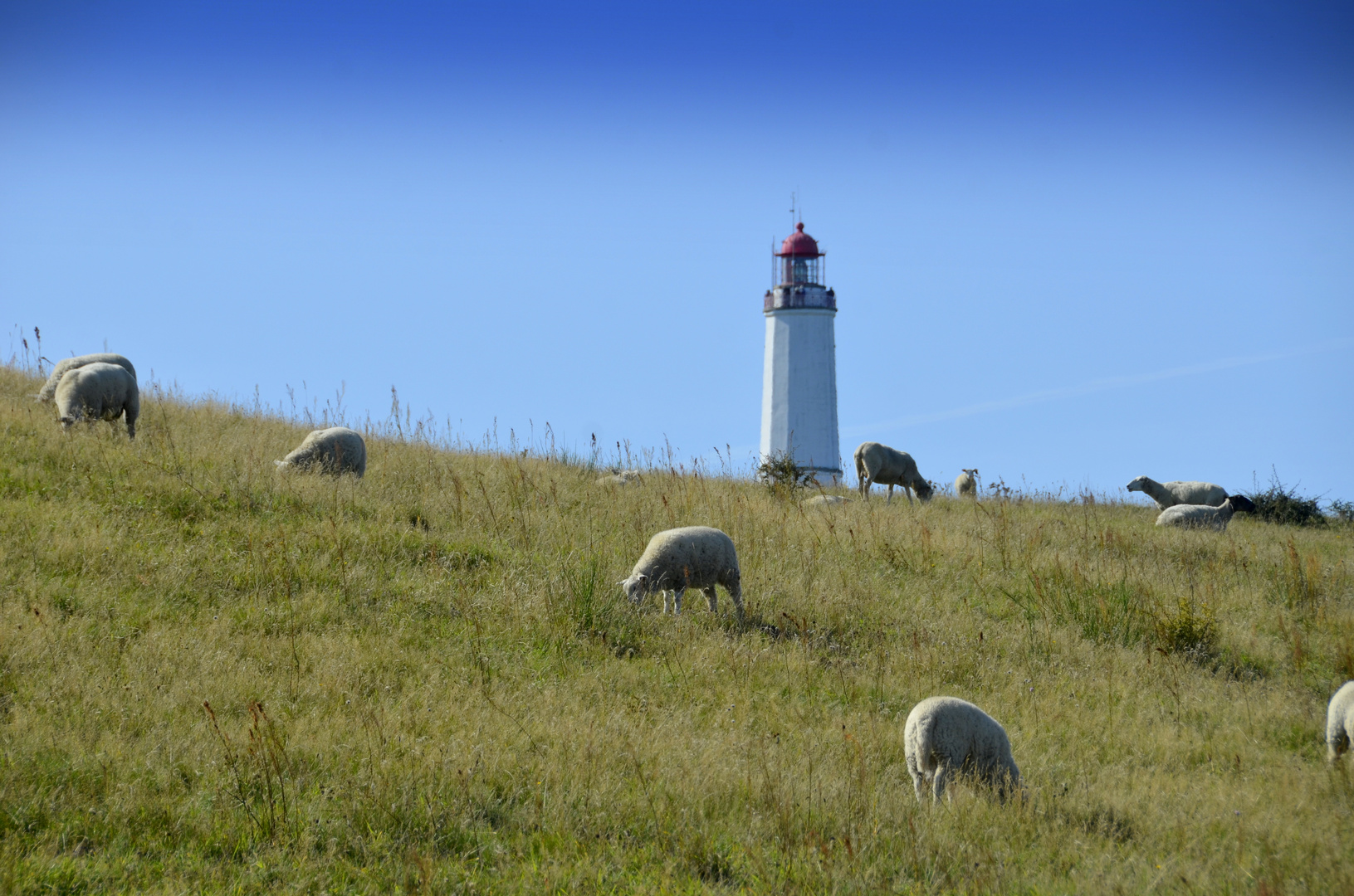 Herbst Stimmung am Leuchtturm 