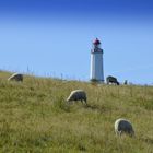 Herbst Stimmung am Leuchtturm 