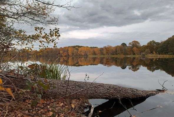 Herbst Stimmung am See