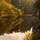 Herbst-Stimmung