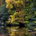 Herbst-Stimmung bei den Extern-Steinen