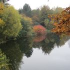 Herbst - Stimmung bei Gr. Gleidingen