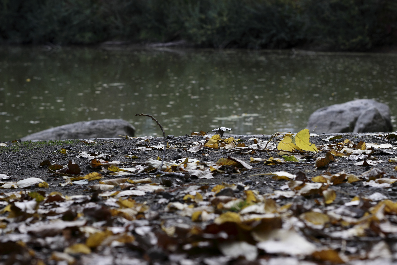 Herbst-Stimmung