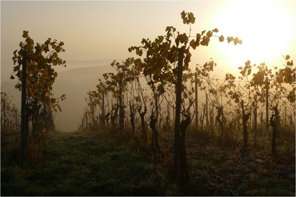 Herbst-Stimmung