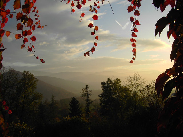 herbst-stimmung