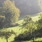 Herbst-Stimmung im Glottertal