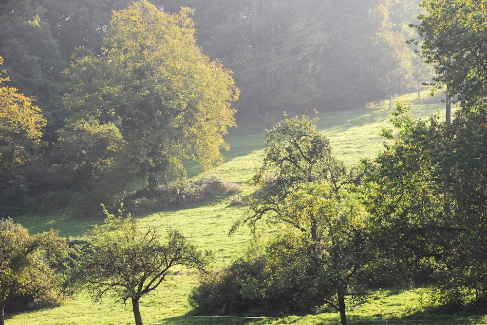 Herbst-Stimmung im Glottertal