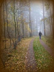 Herbst-Stimmung im Wald