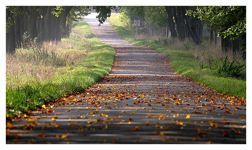 Herbst-Stimmung in Hessisch-Sibirien