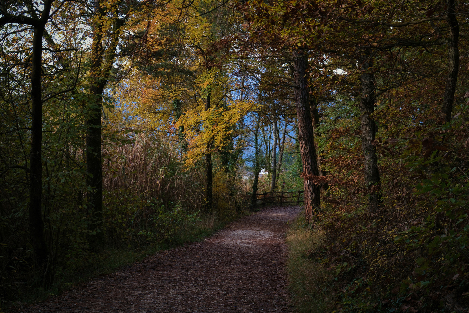 Herbst Stimmungen