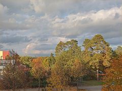 Herbst  stralende Licheffekt