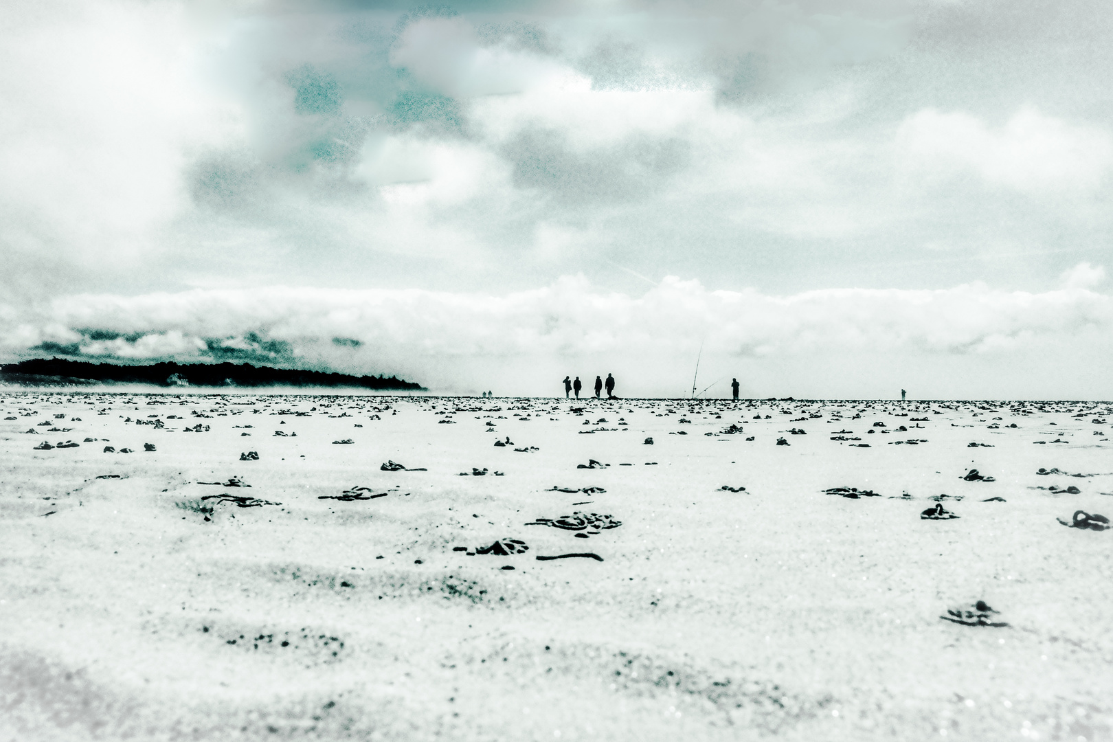 Herbst Strand Läufer 