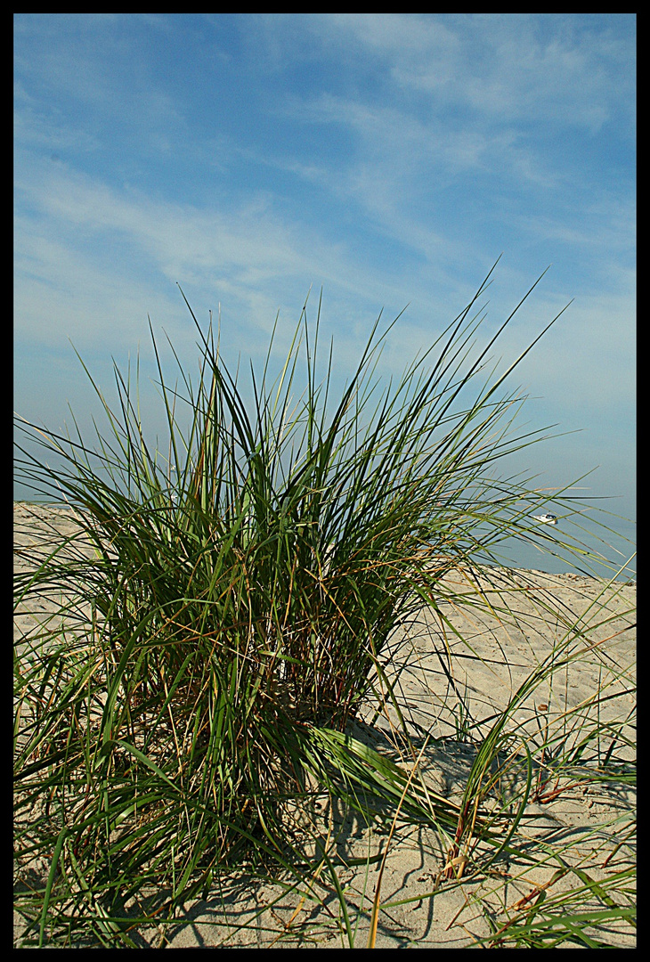 Herbst Strand Meer....