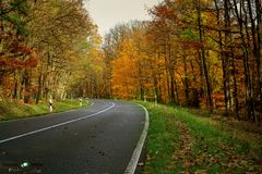 Herbst Straße