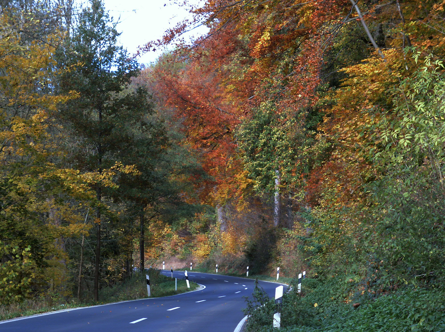 Herbst-Straße