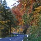 Herbst-Straße