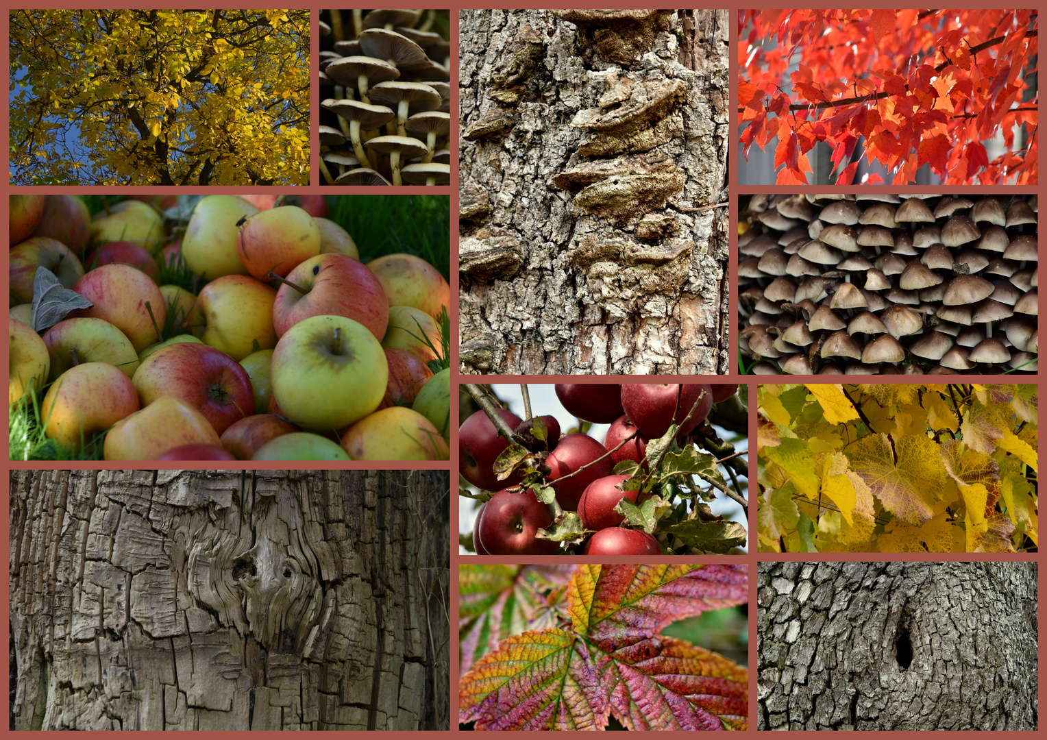 Herbst strukturen