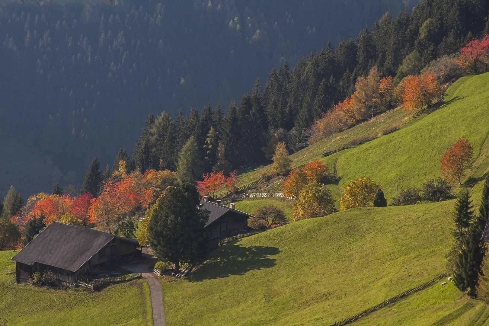 Herbst Südtirol