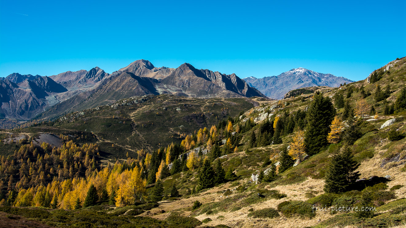 Herbst (Südtirol - Italien)