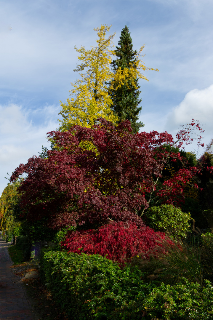 Herbst-Symphonie