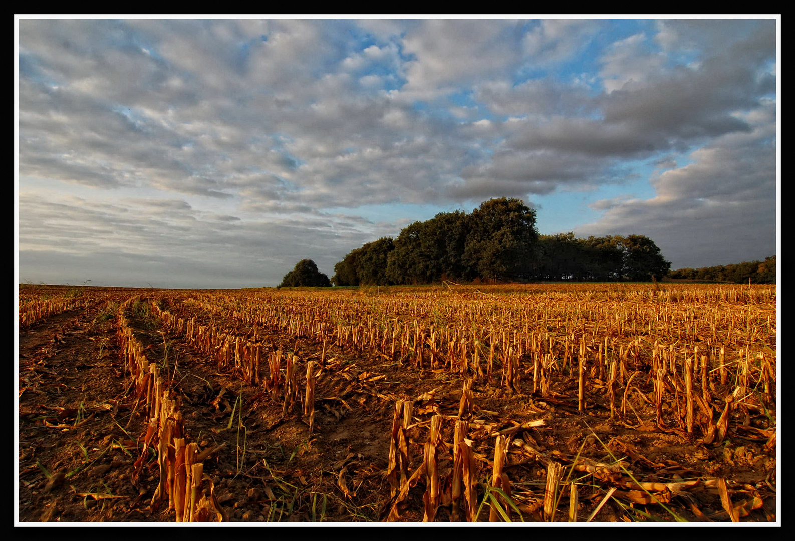 Herbst-Symphonie