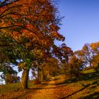 Herbst-Synfonie