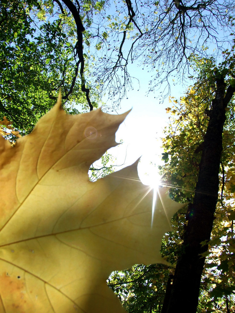 herbst tag