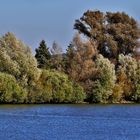 "Herbst - Tag am Altmühlsee"