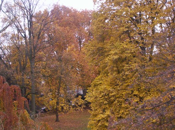 Herbst tag in Masstricht 2
