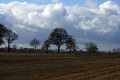 Herbst {Tage}